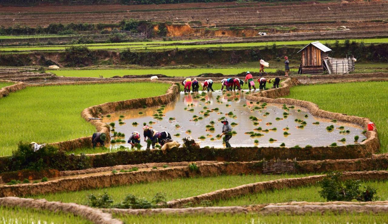 Mu Cang Chai Eco Lodge Nam San Luaran gambar