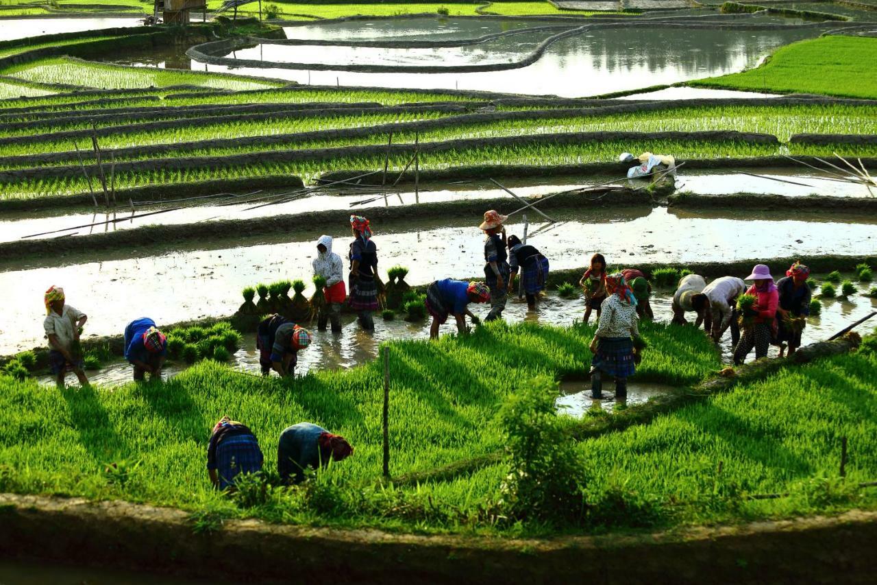 Mu Cang Chai Eco Lodge Nam San Luaran gambar