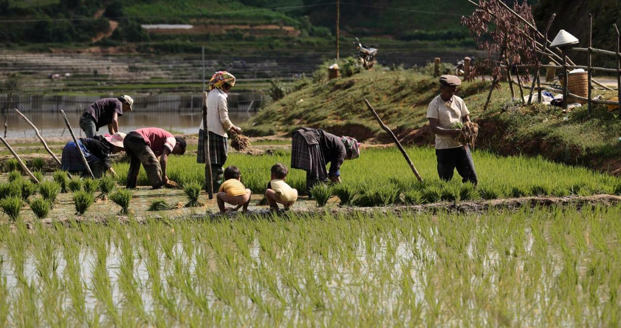 Mu Cang Chai Eco Lodge Nam San Luaran gambar