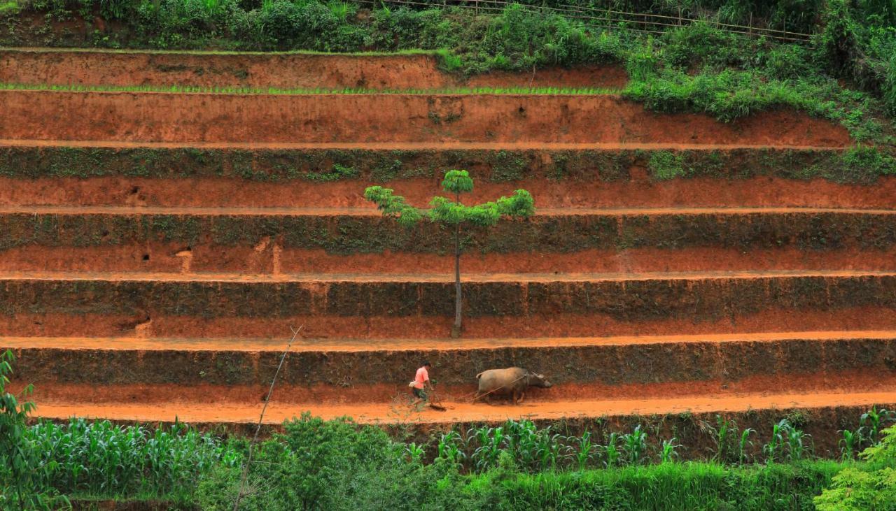 Mu Cang Chai Eco Lodge Nam San Luaran gambar