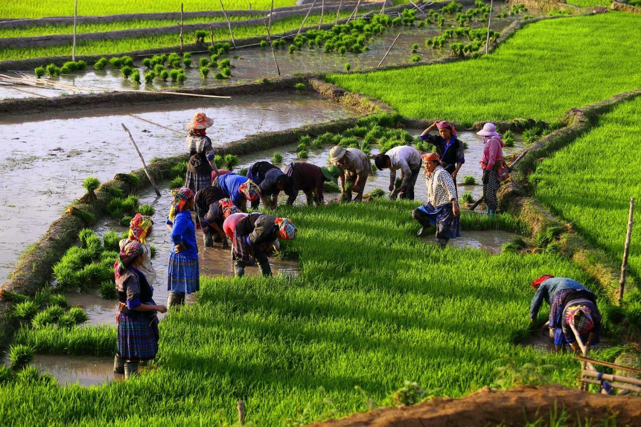 Mu Cang Chai Eco Lodge Nam San Luaran gambar